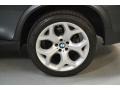 Platinum Gray Metallic - X5 xDrive35d Photo No. 8