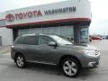 Cypress Green Pearl - Highlander Limited 4WD Photo No. 2