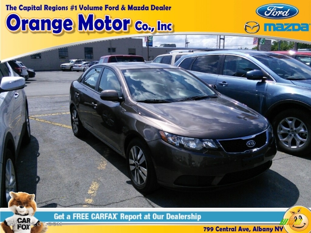 2013 Forte EX - Metallic Bronze / Black photo #1