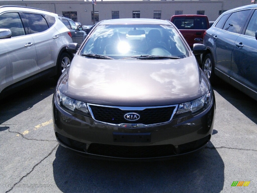 2013 Forte EX - Metallic Bronze / Black photo #2