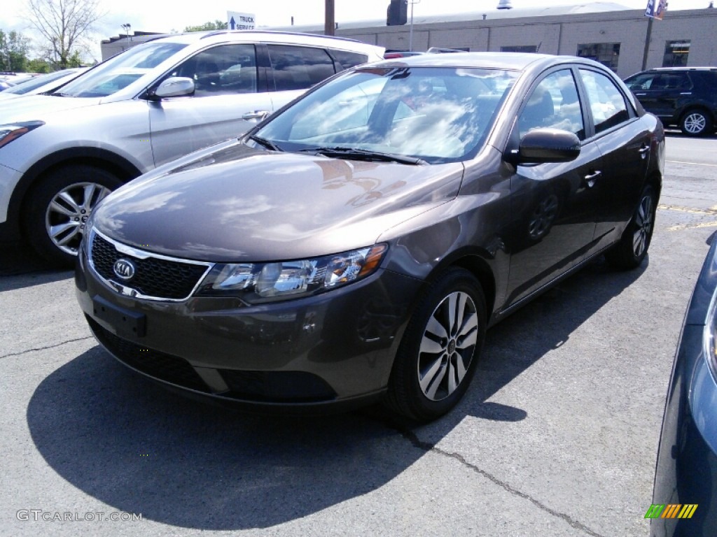 2013 Forte EX - Metallic Bronze / Black photo #3