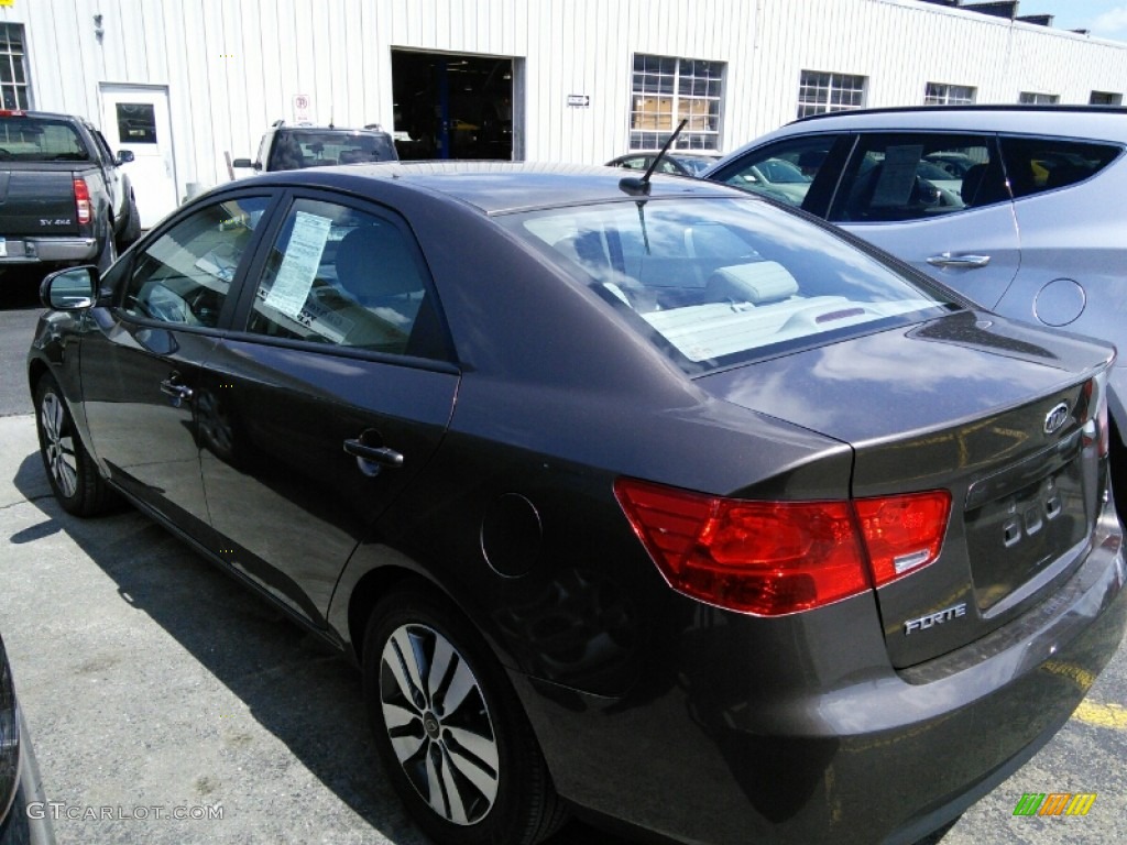 2013 Forte EX - Metallic Bronze / Black photo #4