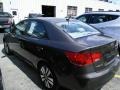 2013 Metallic Bronze Kia Forte EX  photo #4