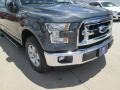 Magnetic Metallic - F150 XLT SuperCrew Photo No. 2