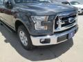 Magnetic Metallic - F150 XLT SuperCrew Photo No. 3