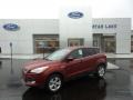 2015 Sunset Metallic Ford Escape SE 4WD  photo #1