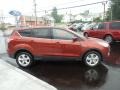 2015 Sunset Metallic Ford Escape SE 4WD  photo #7