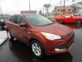 2015 Sunset Metallic Ford Escape SE 4WD  photo #10