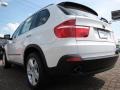 Alpine White - X5 3.0si Photo No. 3