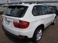 Alpine White - X5 3.0si Photo No. 13