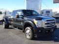 Tuxedo Black - F350 Super Duty Platinum Crew Cab 4x4 DRW Photo No. 6