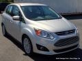 Ingot Silver Metallic - C-Max Hybrid SEL Photo No. 7