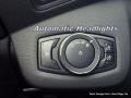 Ingot Silver Metallic - C-Max Hybrid SEL Photo No. 26