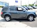 2008 Tungsten Grey Metallic Ford Escape XLT V6 4WD  photo #4