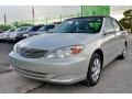 Lunar Mist Metallic - Camry XLE Photo No. 61