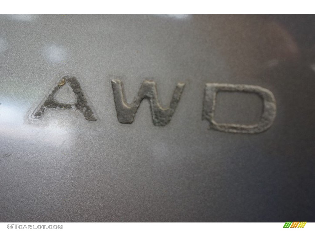 2003 Murano SL AWD - Polished Pewter Metallic / Charcoal photo #77