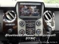 White Platinum Metallic - F350 Super Duty Platinum Crew Cab 4x4 DRW Photo No. 20