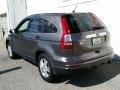 2010 Urban Titanium Metallic Honda CR-V EX AWD  photo #4