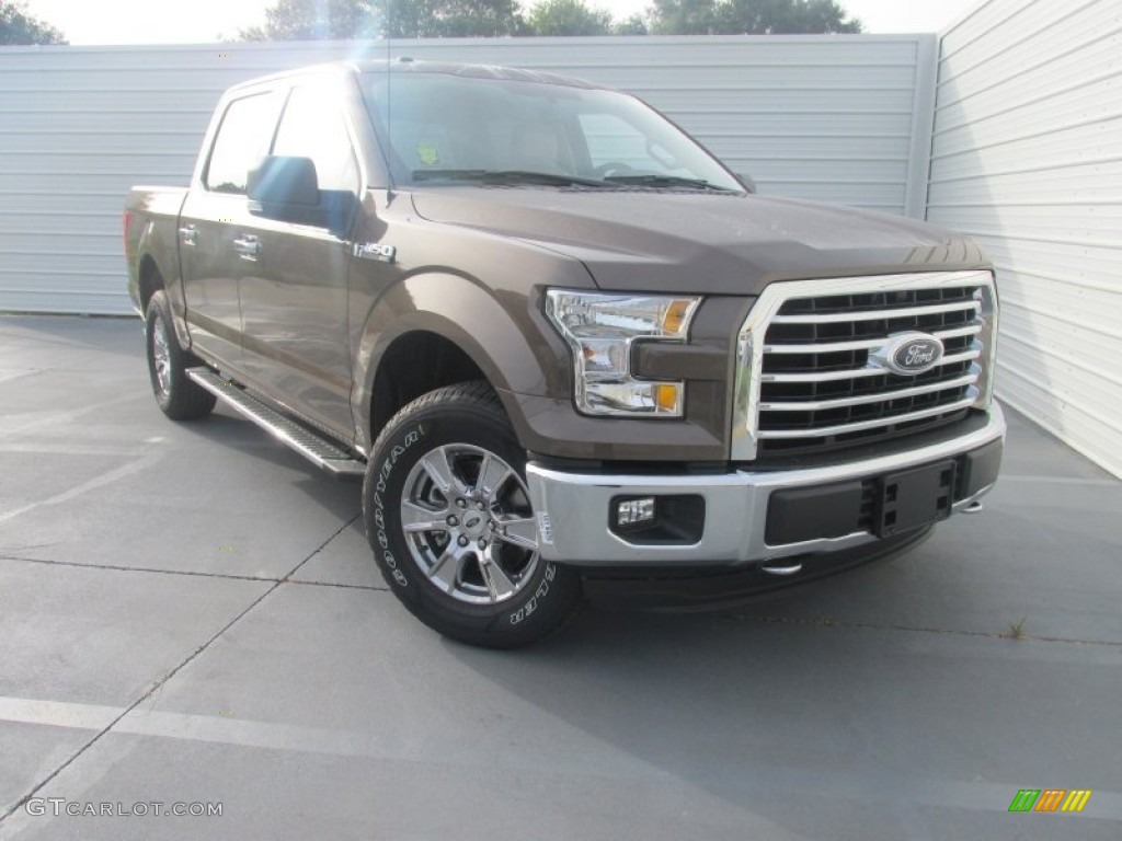 Caribou Metallic Ford F150