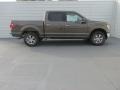 Caribou Metallic - F150 XLT SuperCrew 4x4 Photo No. 3