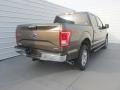 Caribou Metallic - F150 XLT SuperCrew 4x4 Photo No. 4