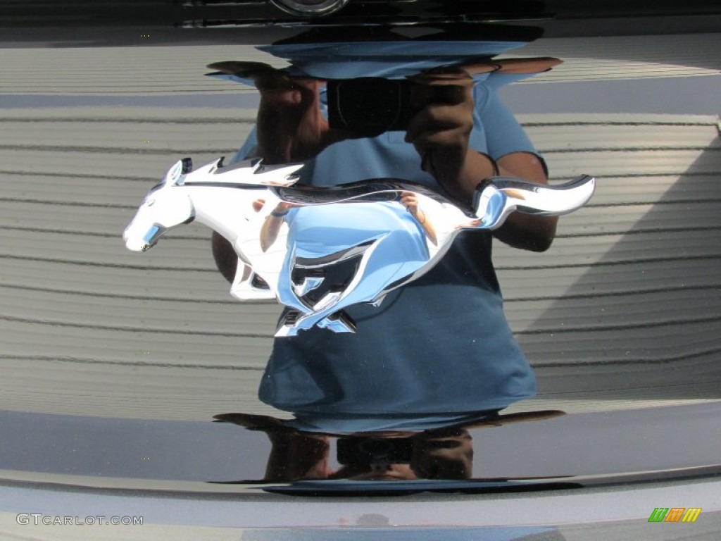 2015 Mustang EcoBoost Coupe - Magnetic Metallic / Ebony photo #13