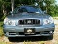 Celadon Green - Sonata GLS V6 Photo No. 2