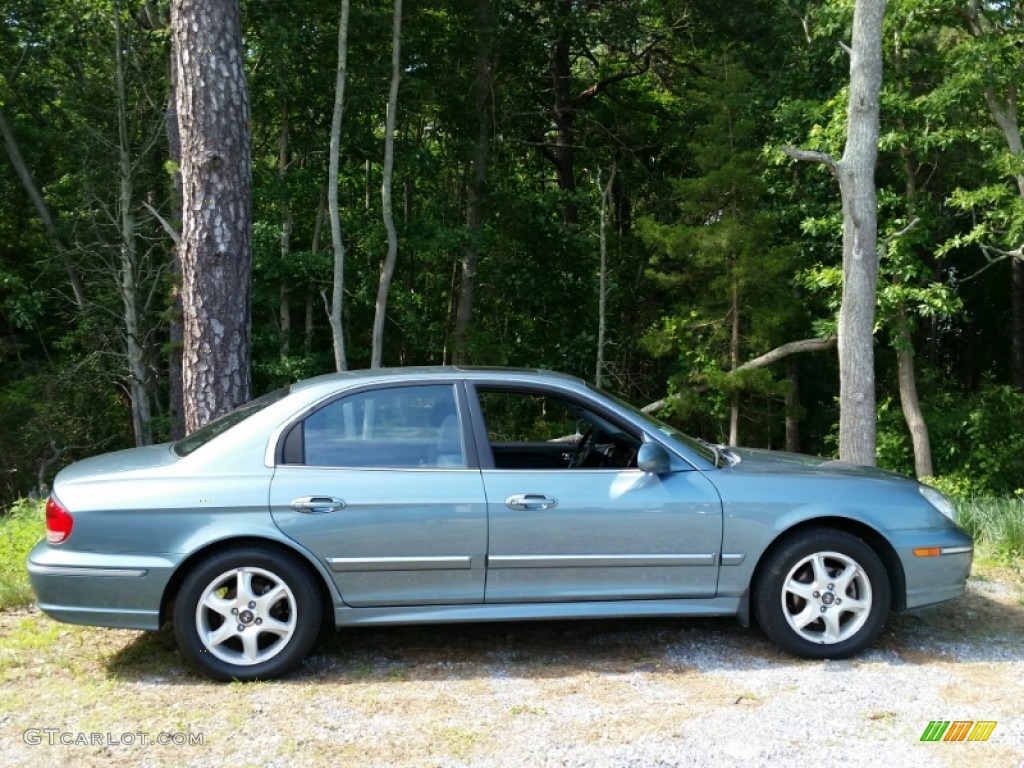 2005 Sonata GLS V6 - Celadon Green / Black photo #4