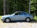 Celadon Green - Sonata GLS V6 Photo No. 5