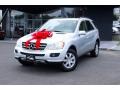 Iridium Silver Metallic - ML 350 4Matic Photo No. 3
