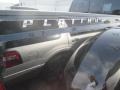 Shadow Black - F450 Super Duty Platinum Crew Cab 4x4 Photo No. 23