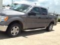 Sterling Grey - F150 XLT SuperCrew Photo No. 2