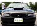 2001 Black Ford Mustang Bullitt Coupe  photo #3
