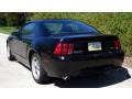 2001 Black Ford Mustang Bullitt Coupe  photo #14