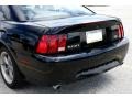 2001 Black Ford Mustang Bullitt Coupe  photo #15