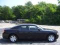 Brilliant Black Crystal Pearl - Charger  Photo No. 6