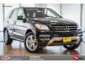 Black - ML 350 Photo No. 1