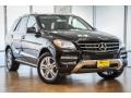 Black - ML 350 Photo No. 12