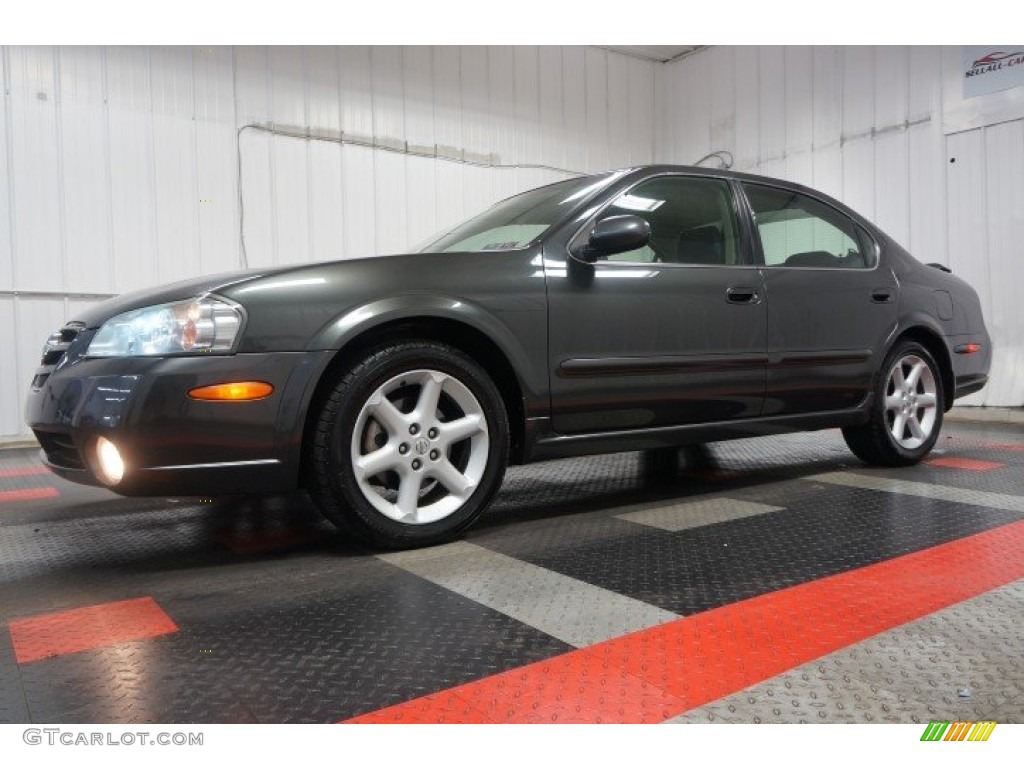 2002 Nissan Maxima SE Exterior Photos