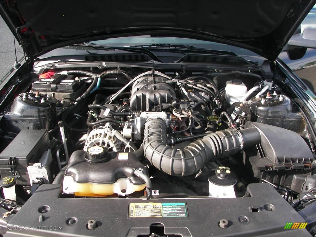 2006 Mustang V6 Premium Coupe - Black / Dark Charcoal photo #8