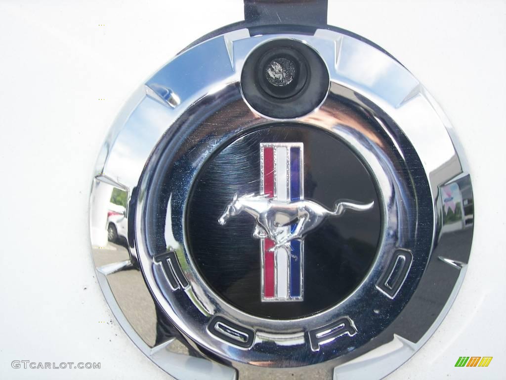2006 Mustang V6 Premium Coupe - Black / Dark Charcoal photo #15
