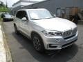 Glacier Silver Metallic - X5 xDrive35i Photo No. 7