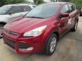 2015 Ruby Red Metallic Ford Escape SE  photo #4