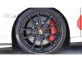 2011 Porsche 911 GT3 RS Wheel and Tire Photo