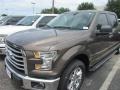 2015 Caribou Metallic Ford F150 XLT SuperCrew  photo #2