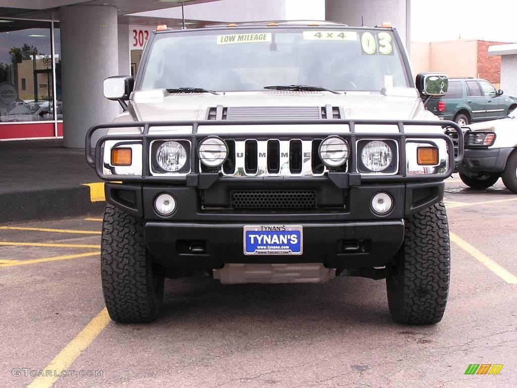 2003 H2 SUV - Pewter Metallic / Wheat photo #2