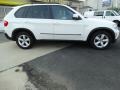 Alpine White - X5 3.0si Photo No. 4