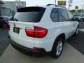 Alpine White - X5 3.0si Photo No. 5