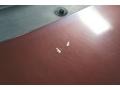 Cabernet Red Metallic - Windstar LX Photo No. 41