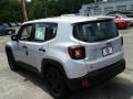 Glacier Metallic - Renegade Sport Photo No. 4